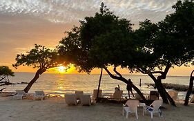 Hotel Carey Beach Baru